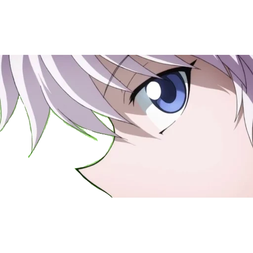 animais, killua, killua anime, figuras de anime, as personagens do anime