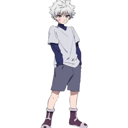 kilois, kilois zoldik, indovina il personaggio anime, killua zoldic full high 2011, hunter x hunter personaggio kilois