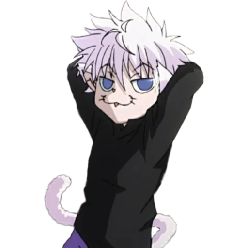 killoi, anime killu, killoi cat, killuo cat anime, killoi zoldik cat