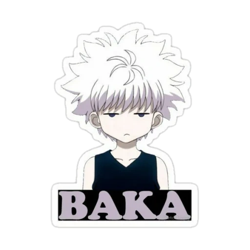 killoi, killoi omega, anime killuo baka, hunter x hunter 3