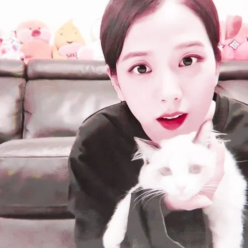 gatto, kim jisu, rosa nero, jisoo blackpink, kim jisa black pink