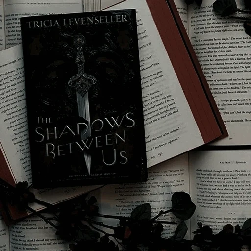 books, book cover, book cover, a page of text, the shadows between us tricia book