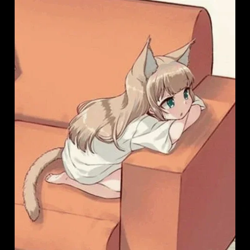 kucing, anime beberapa, anime cat, kinako 40hara, anime gadis kucing