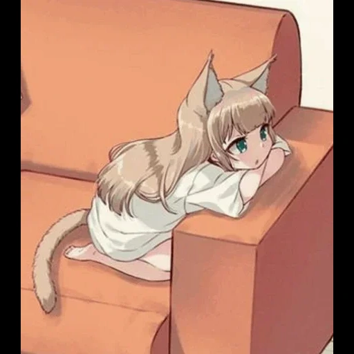 gatto, anime alcuni, anime cat, kinako 40hara, ragazza gatto anime