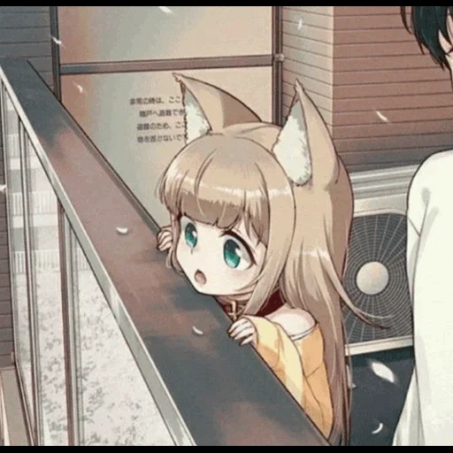 anime neko, cat animation, jinnazi's wife, osaka yezi comics, girl cat animation