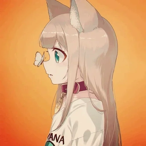 anime neko, kinako-uchiko, uchiko osaka, osaka yoko manga, fille chat anime