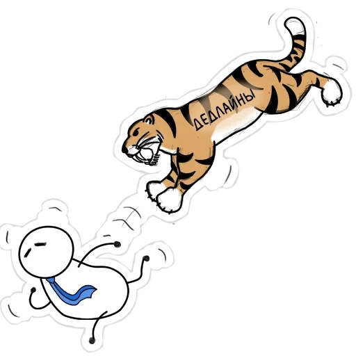 gatto, disegno di tigre, tigre senza il movimento di fondo