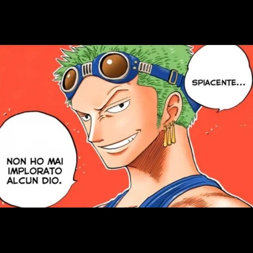 zoro, аниме, зоро кошка, зоро луффи, аниме персонажи