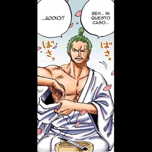 zoro, ророноа, ророноа зоро, zoro x sanji, ророноа зоро манга