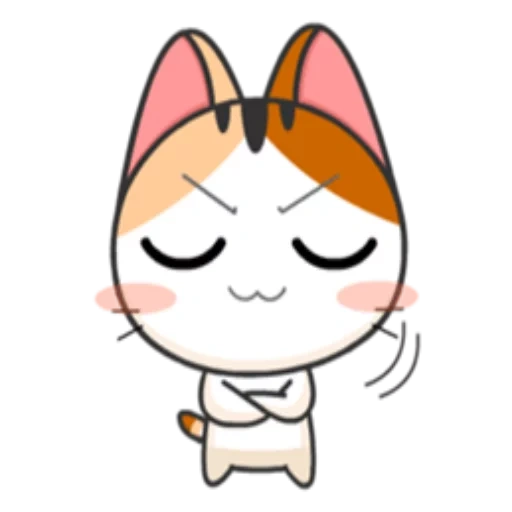 miau, katze, meow animiert, japanische katzen