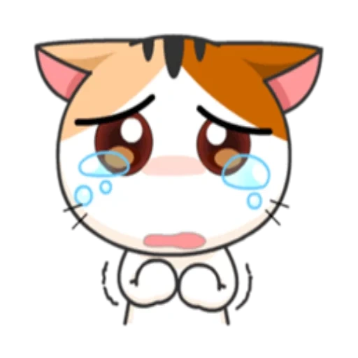 parker, anime miaou miaou, wa apps cat, chat japonais, meow animated