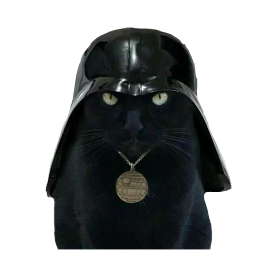 the cat wieder, darth vader, das heidi kus, dart cotedel, die verrückten robben