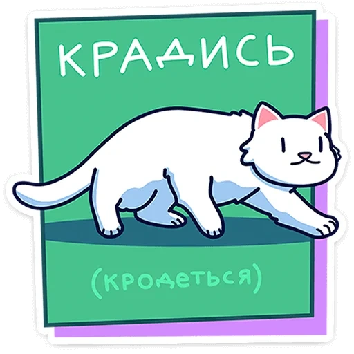 кот, cat, котики, кошки милые