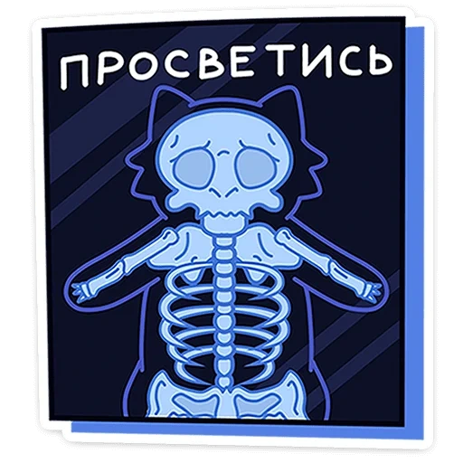 das skelett, the blue skull, das muster des skeletts, skelett auf schwarzem grund