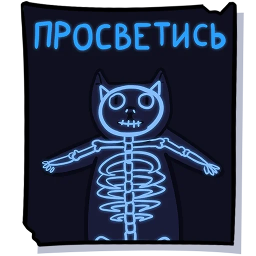 find, skeleton, cat skeleton, cardboard cat skeleton