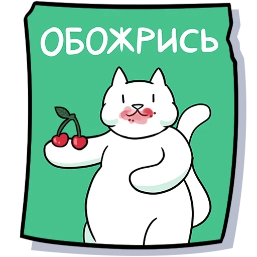 котики, прикол