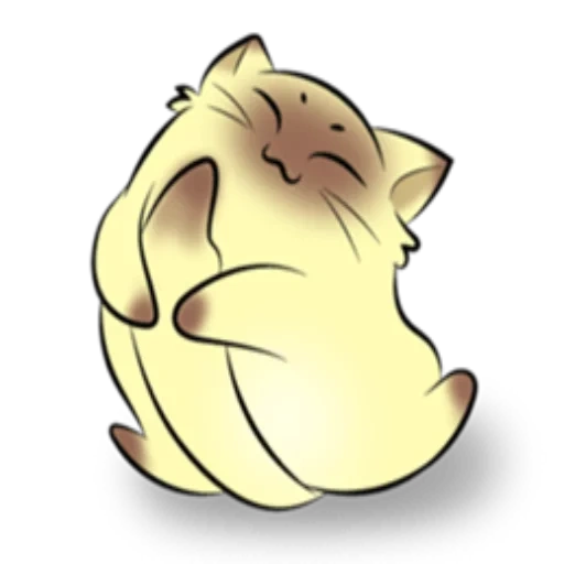 cat, steamed stuffed bun, yellow kitten, a lovely animal, soft and cute chick
