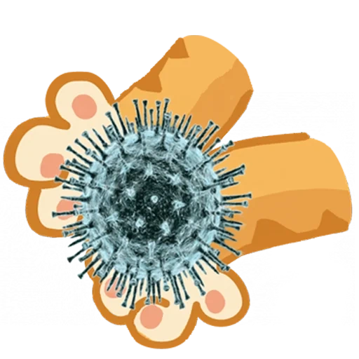 virus covid, coronavirus, coronavirus, kostroma di koronavirus, infezione da coronavirus