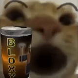 cat, cat, bloxy cola, energy cat, cats drink energy drinks