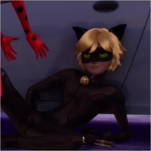 super cat, black edith cat, super cat black, lady bug super cat, lady bug super cat black