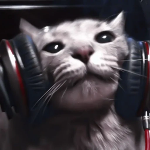 kucing, kucing itu mendengarkan, kucing itu meloman, headphone kucing, nikita ivanovich rumyantsev