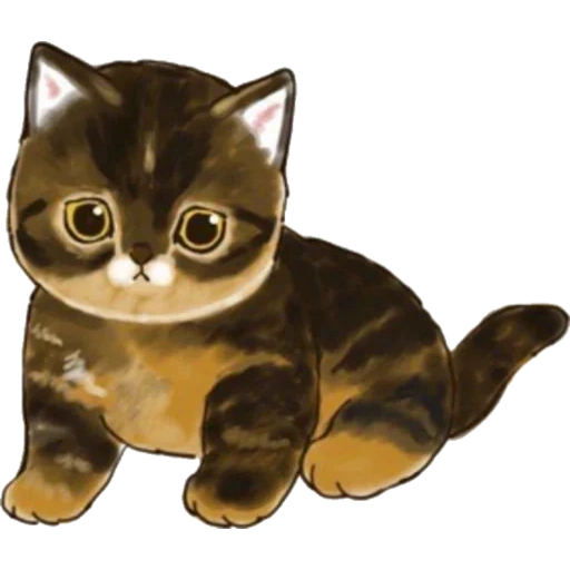 cats, phoques, charmant phoque, illustration du chat, motif chaton mignon
