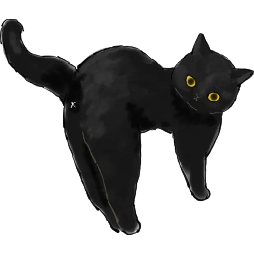gato negro, gato negro, gato negro, gato de juguete, black cat toy kota