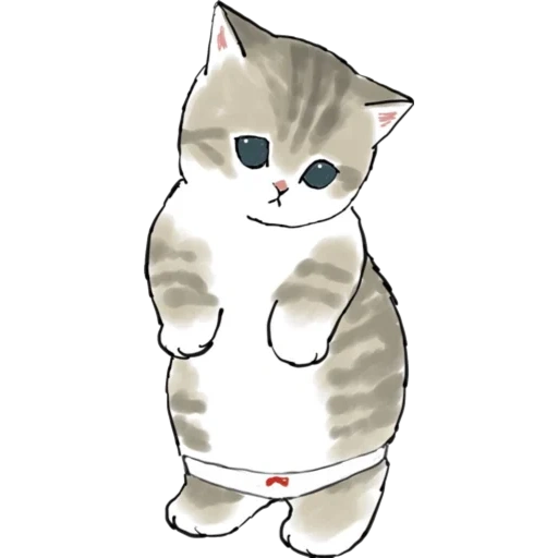 charmant phoque, illustration du chat, motif de chat mignon, patterns mignons pour chats, dessins de phoques mignons