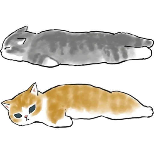 gato, mofu sand, os animais são fofos, mofu sand cats, ilustração de um gato