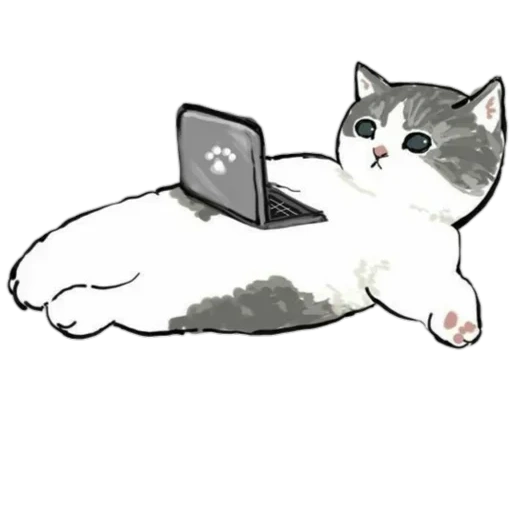 kit su un computer, adesivi telegrammi, illustrazione di gatto, illustrazione cat, gatto