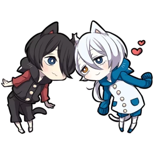 neko, shiro neko, kitten bianco