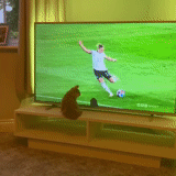 football, ren tv, tv set, interesting memes, best goalkeeper