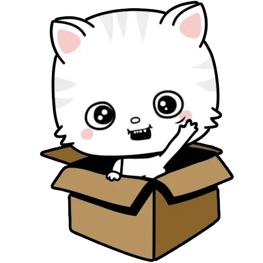 gatto, kitty 17, un bel sigillo, meme di gatto kawai, seal cavaie