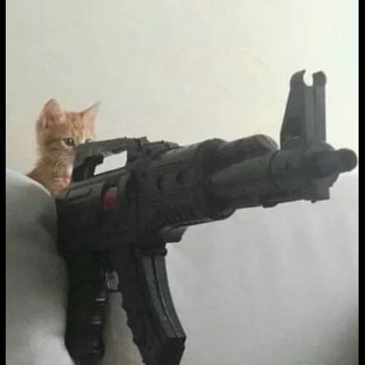 shoot, a cat with a gun, the cat is automatically, cats with machine guns, the cat is automatically
