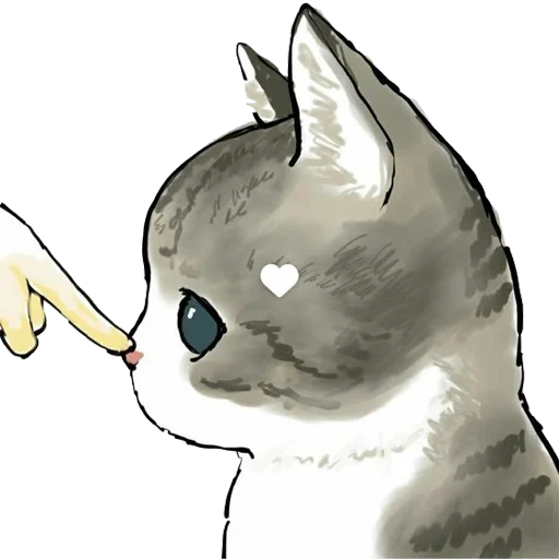 котик, животные милые, mofu sand котики, иллюстрация кошка, кошки милые рисунки