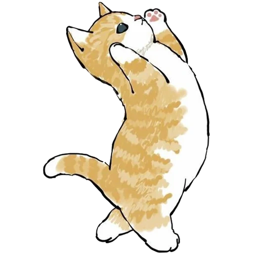 modello di gatto, illustrazione del gatto, ciao salut seal, modello di gatto carino, modello di gatto carino