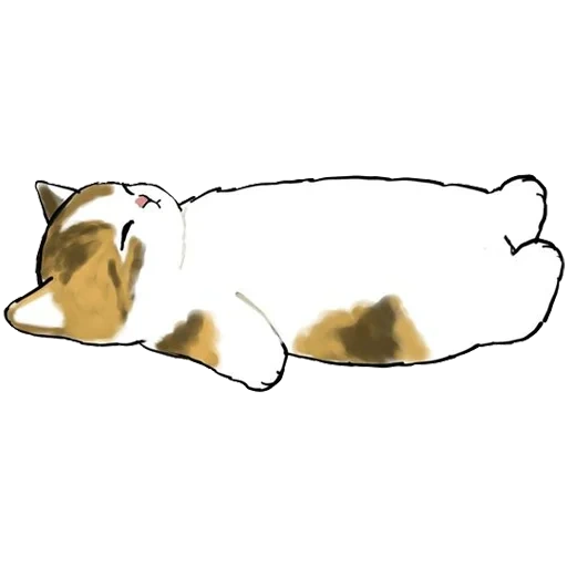 gatto, le foche, la foca di milotta, illustrazione del gatto, diagramma del sigillo