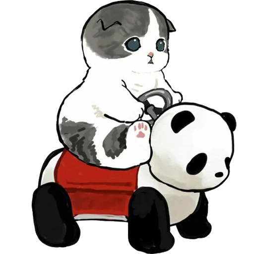 kucing, panda manis, gambar kucing lucu