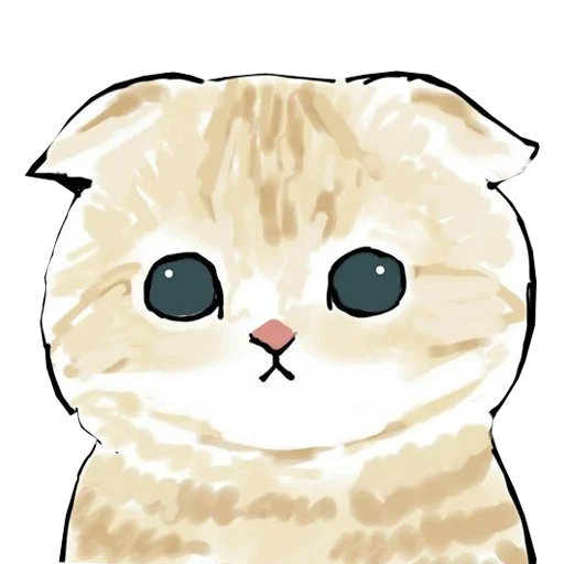 cat, cute cats, cute cats of sima, cats cute drawings, drawings of cute cats