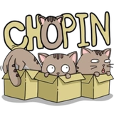 Chopin fat cat