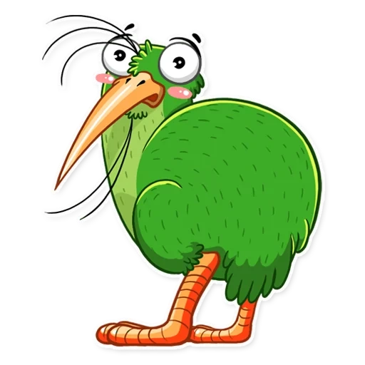 qiwi, kiwi, kiwi bird, kiwi bird, l'uccello è cartone animato
