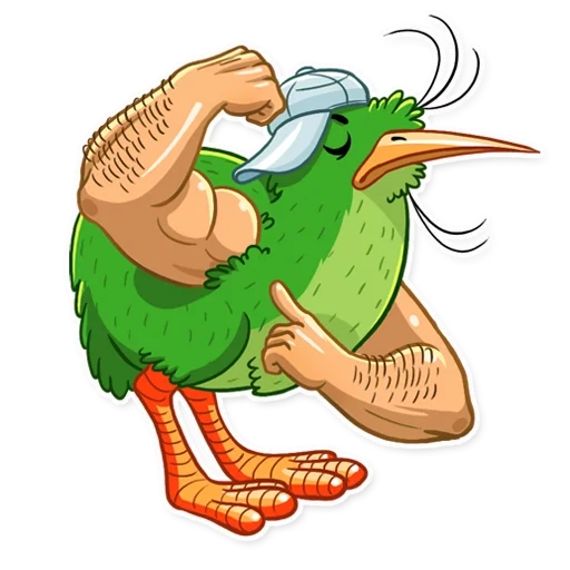 kiwi, uccello, kiwi bird, kiwi bird, l'uccello è cartone animato