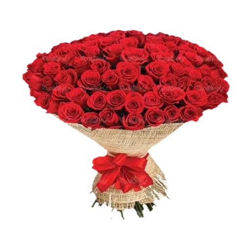 красные розы букет, розы большой букет, букет 101 красная роза, большой букет красных роз, красивый букет красных роз