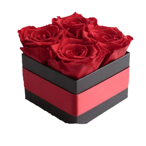 rose box, коробка роз, розы коробке, розы коробочке, розы черной коробке
