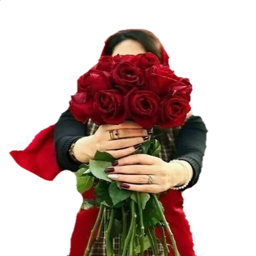 девушка, красные розы, букетик через, красивые розы, букет красных роз