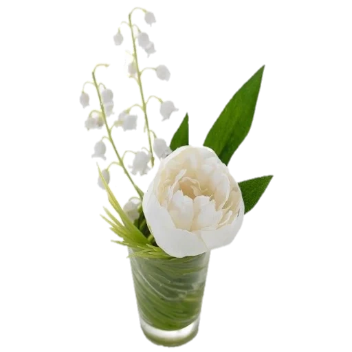 белый тюльпан, букет ландышей, цветы весны вазе, белые тюльпаны каплями росы, фаленопсис 2st buttercup d12 h45