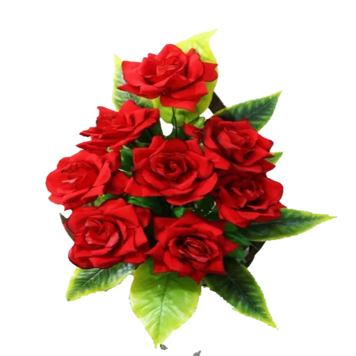букет красный, букет алых роз, букет красных роз, букет роз фотошопа, роза кордана красная