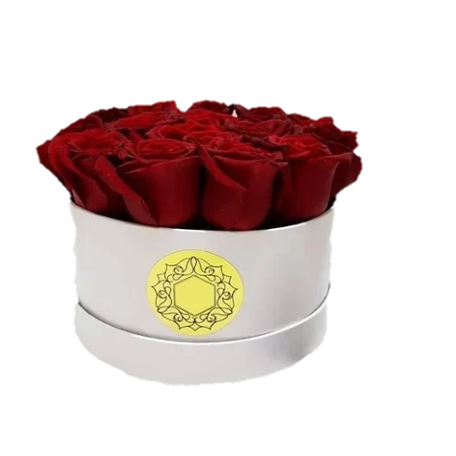розы коробке, цветы коробке, цветы коробках, шляпная коробка, роза infinity white