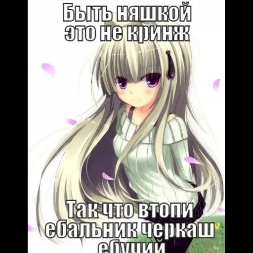 anime, anime nyashki, anime girl, karakter anime, anime steshnyashka