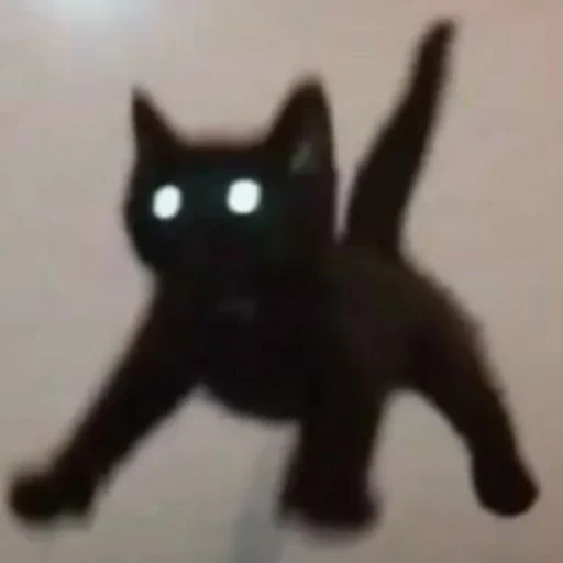 кот, кошка, black cat, эвелина блёданс, рикки-тикки-тави